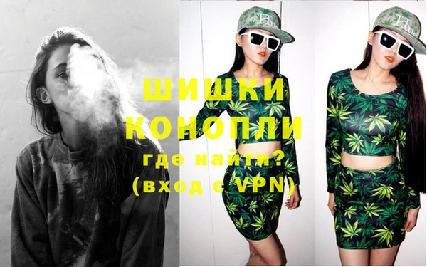 крисы Тавда