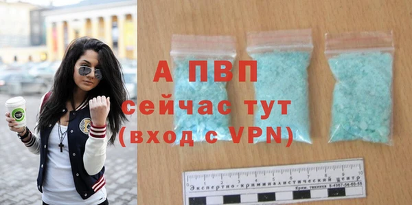 крисы Тавда